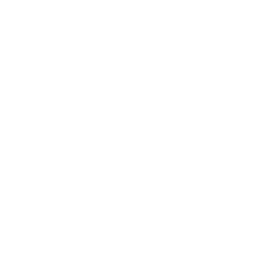 Dentista